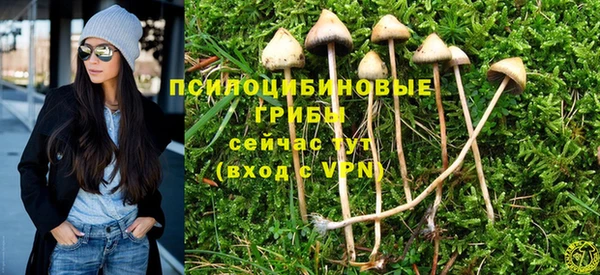 спайс Фёдоровский