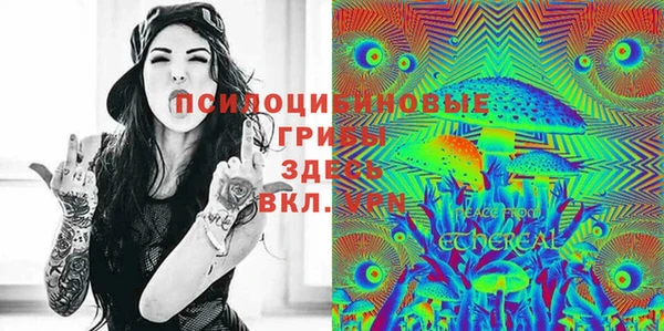 спиды Александровское
