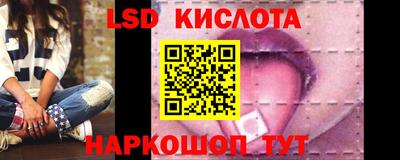 крисы Славянск-на-Кубани