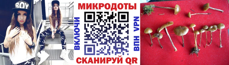 Псилоцибиновые грибы Psilocybine cubensis Смоленск
