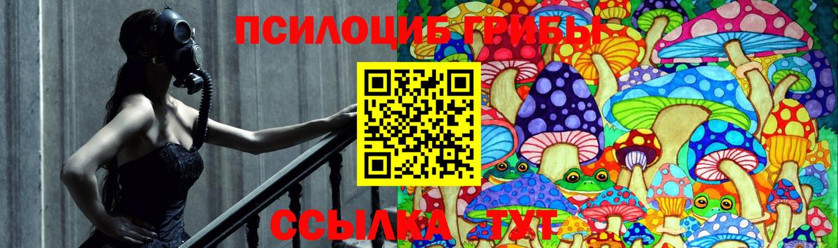 Галлюциногенные грибы Cubensis Смоленск