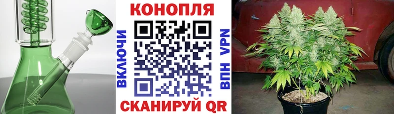 купить наркотик  Смоленск  OMG зеркало  Бошки марихуана Amnesia 